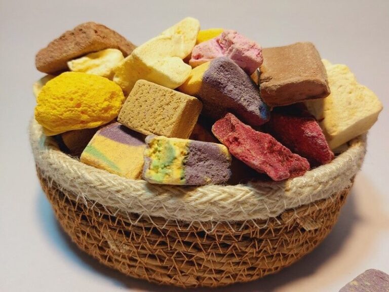 مراحل ساخت بستنی خشک خانگی و صنعتی