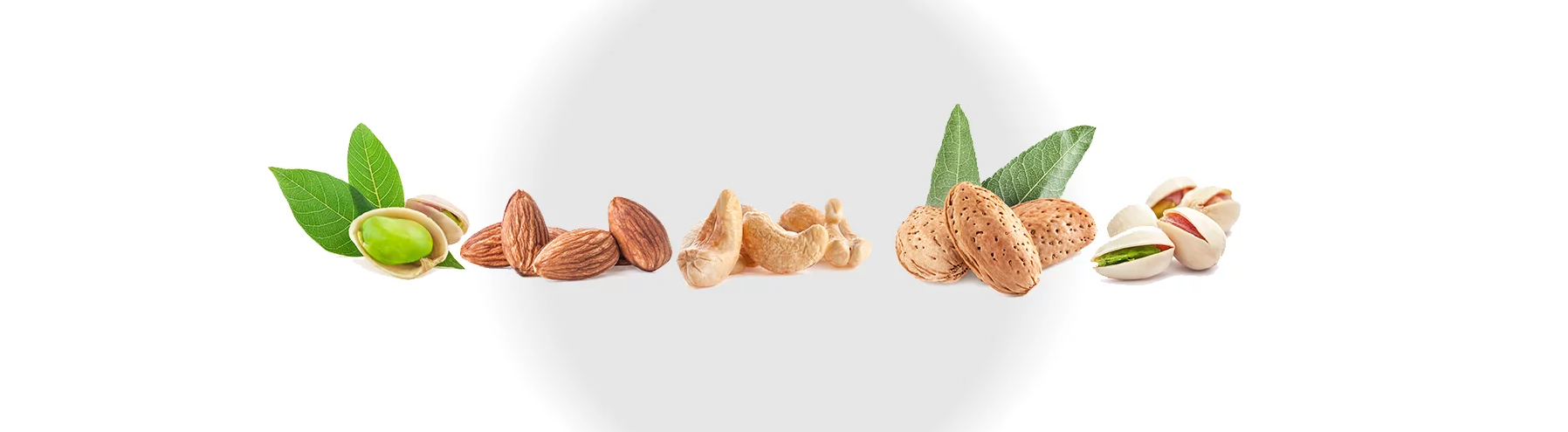ایران؛ گنجینه طلایی مغزهای پرخاصیت